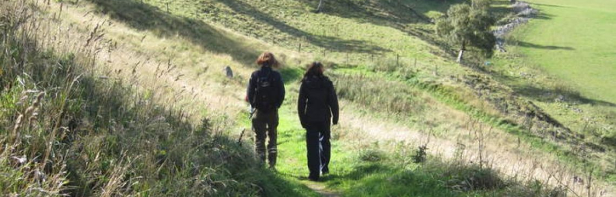 The Estate offers a variety of activities