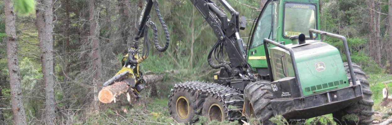 The Estate looks after over 550 hectares of native woodland